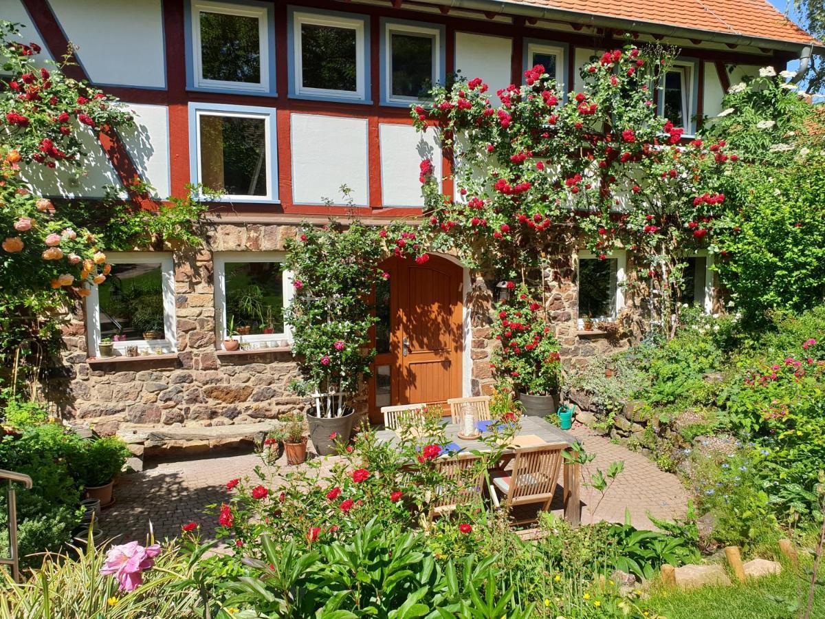 Ferienhaus Burgblick Münzenberg Eksteriør billede