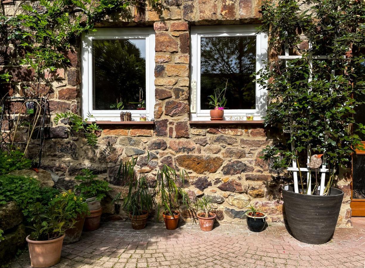 Ferienhaus Burgblick Münzenberg Eksteriør billede